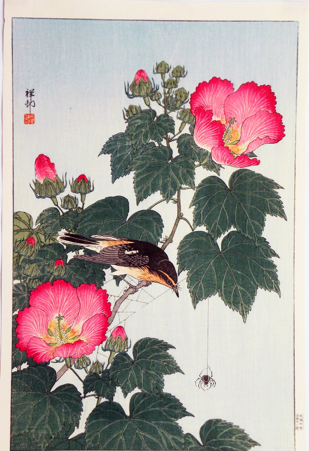 Fly-catcher on Rose Mallow Watching Spider. Ohara Koson